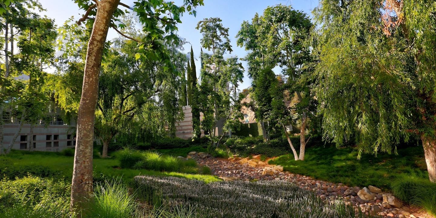 grass-filled arroyo