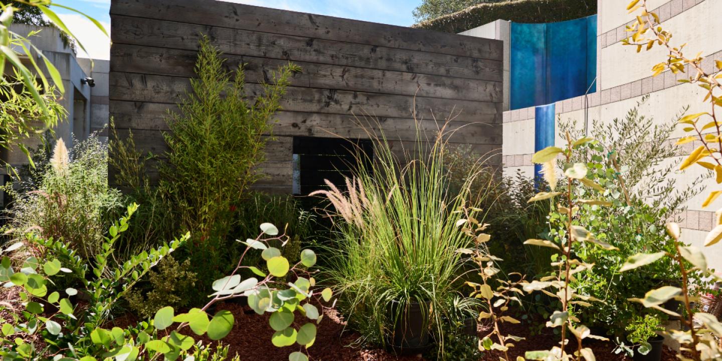A sukkah made from wood stands among various plants in a courtyard at the Skirball.
