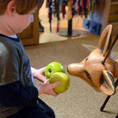 A small child feed a fox puppet apples.